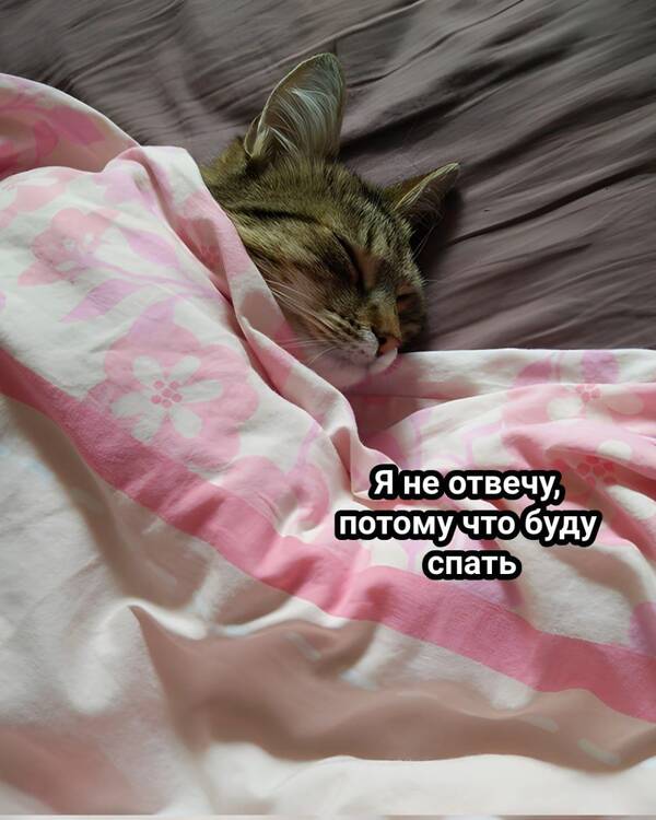 http://forumupload.ru/uploads/000c/cc/b3/2/t736767.jpg