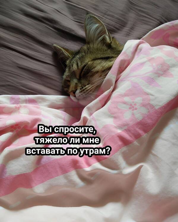 http://forumupload.ru/uploads/000c/cc/b3/2/t988891.jpg