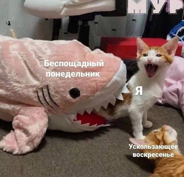 http://forumupload.ru/uploads/000c/cc/b3/2/t990424.jpg