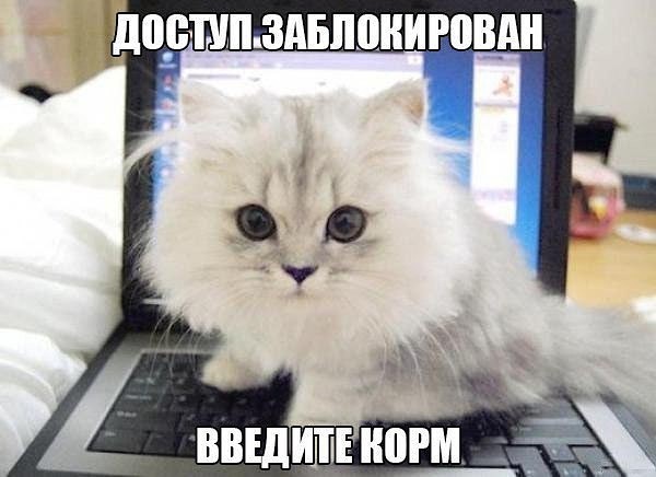 http://forumupload.ru/uploads/000c/cc/b3/45/36968.jpg