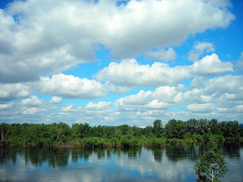 http://forumupload.ru/uploads/000c/ff/ac/3538-1-f.jpg
