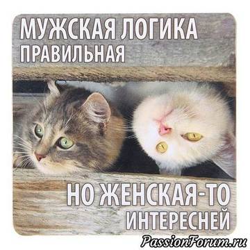 http://forumupload.ru/uploads/000d/6b/61/3813/t80339.jpg