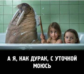 http://forumupload.ru/uploads/000d/6b/61/3813/t84258.jpg