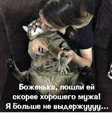 http://forumupload.ru/uploads/000d/6b/61/3813/t99501.jpg