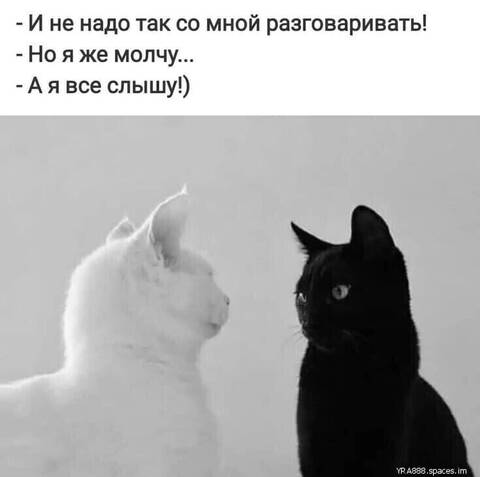 http://forumupload.ru/uploads/000d/6b/61/4555/t10733.jpg