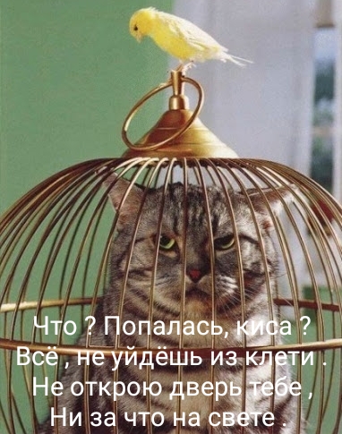 http://forumupload.ru/uploads/000d/6b/61/4555/t416650.jpg