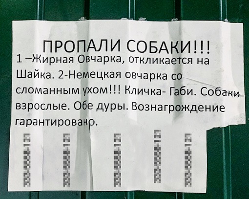 http://forumupload.ru/uploads/000d/6b/61/4825/964463.jpg