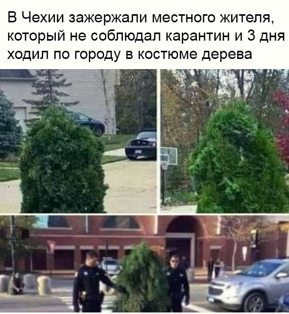 http://forumupload.ru/uploads/000d/6b/61/4825/99772.png