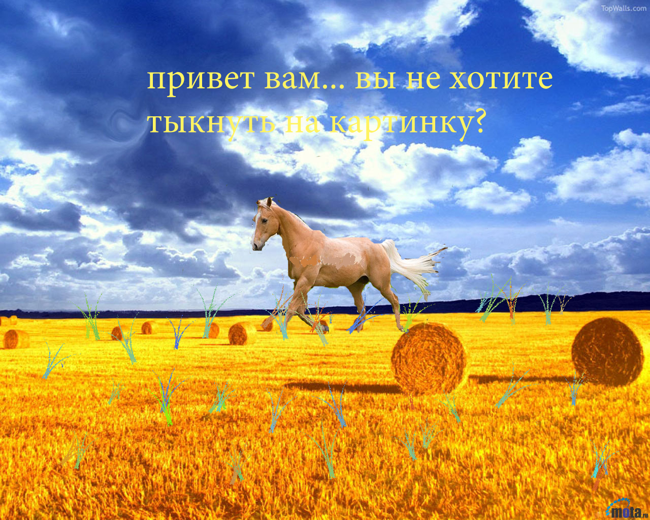 http://forumupload.ru/uploads/000d/ab/67/135-1-f.jpg