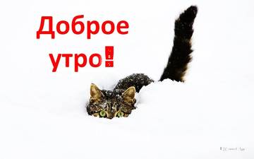 http://forumupload.ru/uploads/000e/ad/4d/27669/t86450.jpg