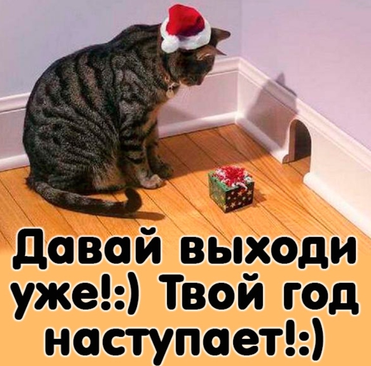 http://forumupload.ru/uploads/000e/ad/4d/30467/45069.jpg