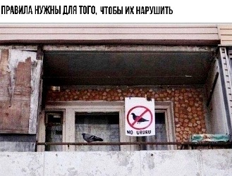 http://forumupload.ru/uploads/000f/a0/99/390/208944.jpg