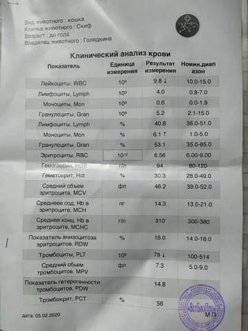 http://forumupload.ru/uploads/000f/f6/ce/6/t95386.jpg