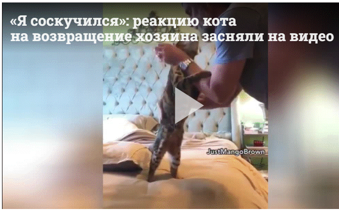 http://forumupload.ru/uploads/0011/5d/92/2/533182.gif