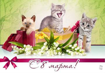 http://forumupload.ru/uploads/0011/e4/51/3/t74490.jpg
