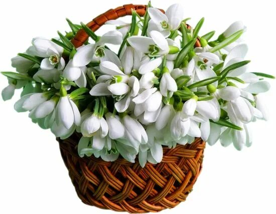 http://forumupload.ru/uploads/0012/15/01/648/t408066.jpg