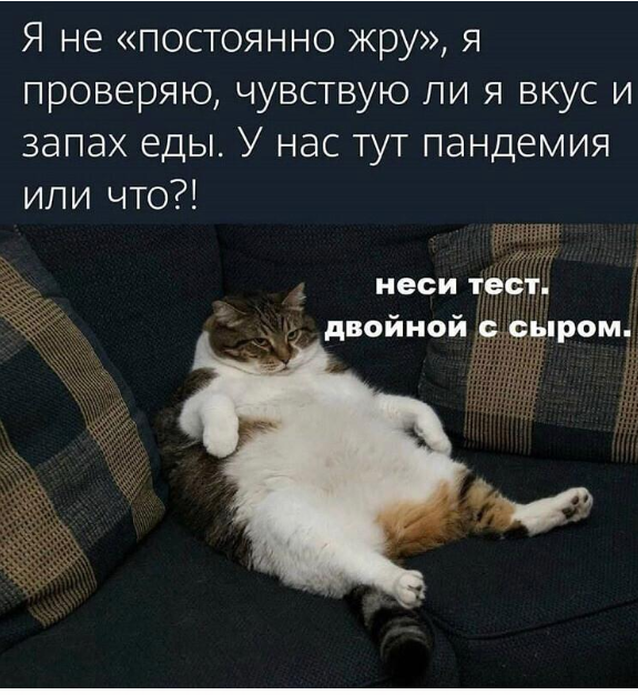 http://forumupload.ru/uploads/0012/15/01/663/576168.png