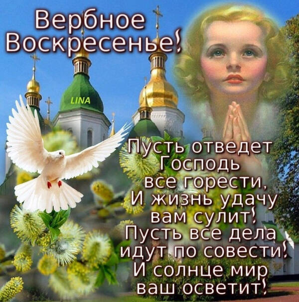 http://forumupload.ru/uploads/0012/5a/ef/277/t264784.jpg