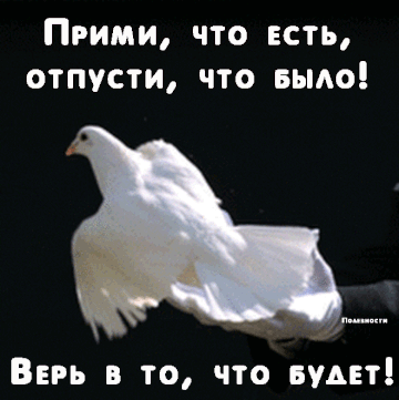 http://forumupload.ru/uploads/0012/5a/ef/277/t831977.gif