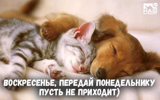 http://forumupload.ru/uploads/0012/6e/7d/1844/128812.jpg