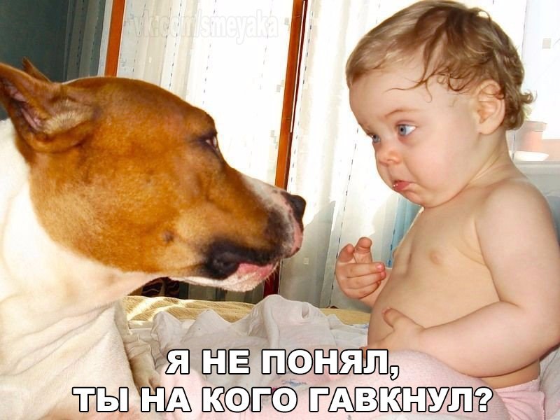 http://forumupload.ru/uploads/0012/6e/7d/1844/136864.jpg