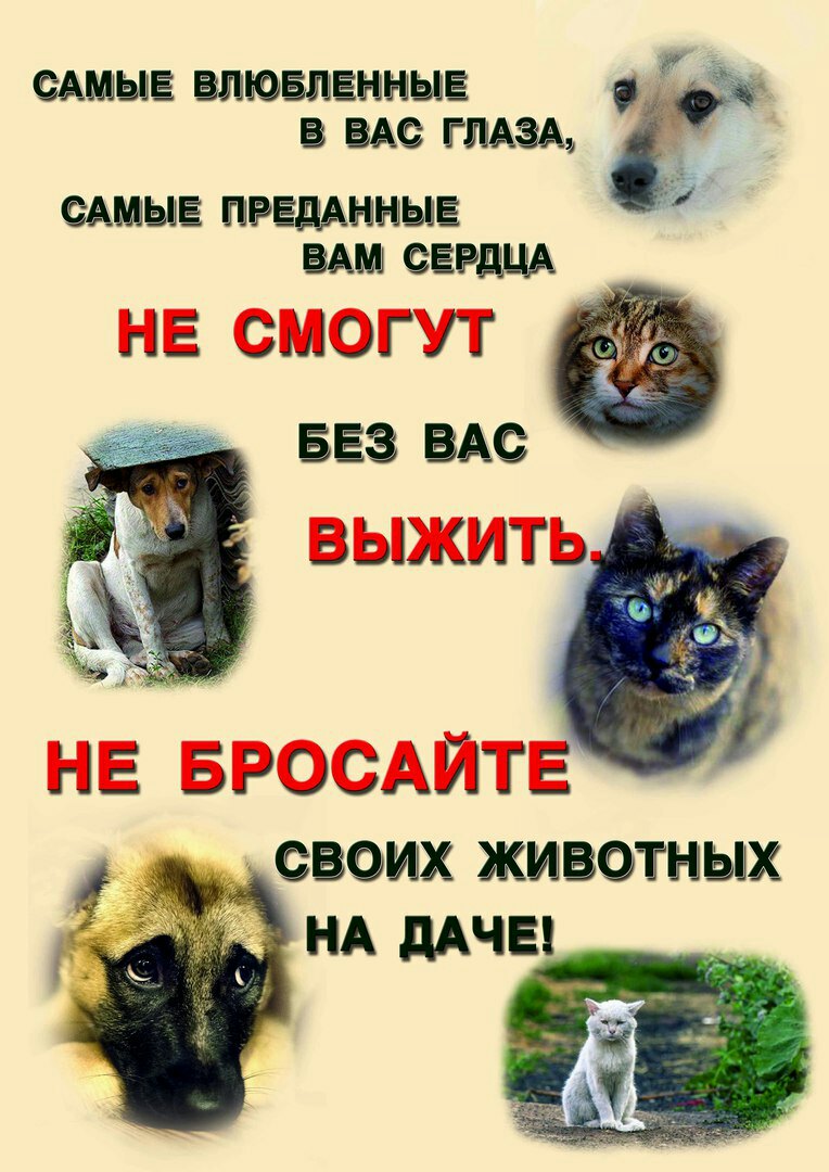 http://forumupload.ru/uploads/0012/6e/7d/1844/147481.jpg