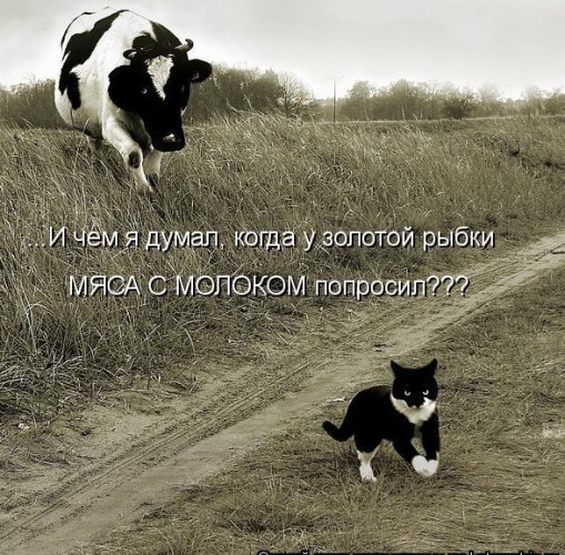 http://forumupload.ru/uploads/0012/6e/7d/1844/201223.jpg