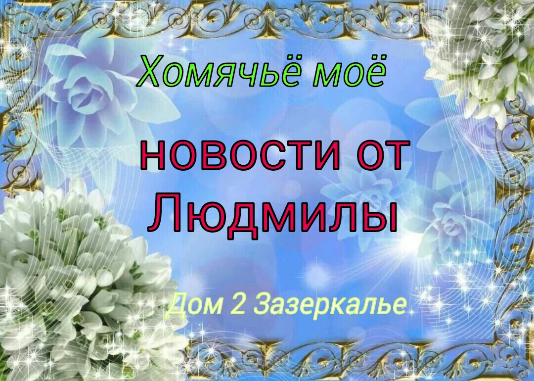 http://forumupload.ru/uploads/0012/6e/7d/1844/26202.jpg