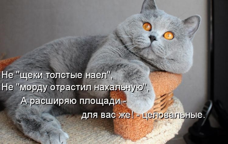 http://forumupload.ru/uploads/0012/6e/7d/1844/318326.jpg