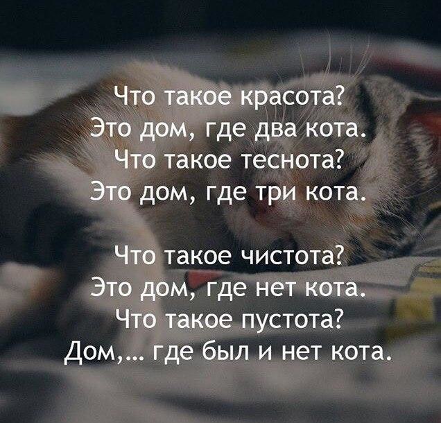 http://forumupload.ru/uploads/0012/6e/7d/1844/373317.jpg