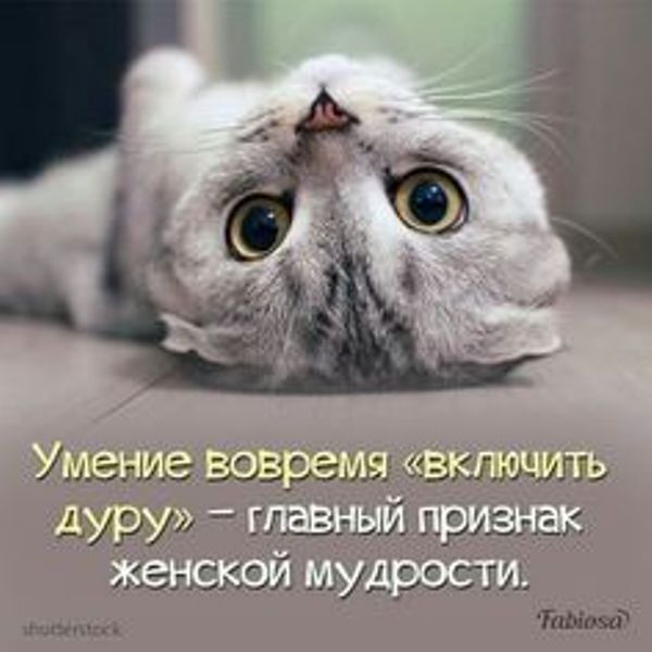 http://forumupload.ru/uploads/0012/6e/7d/1844/602355.jpg