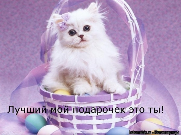 http://forumupload.ru/uploads/0012/6e/7d/1844/791602.jpg