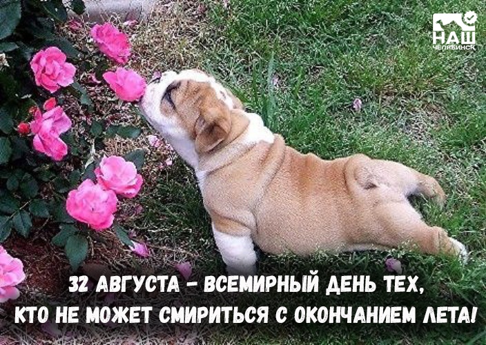 http://forumupload.ru/uploads/0012/6e/7d/1844/948447.jpg