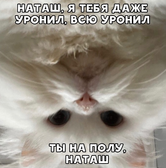 http://forumupload.ru/uploads/0012/6e/7d/1844/951432.jpg