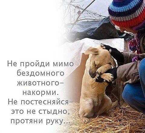 http://forumupload.ru/uploads/0012/6e/7d/1844/982874.jpg
