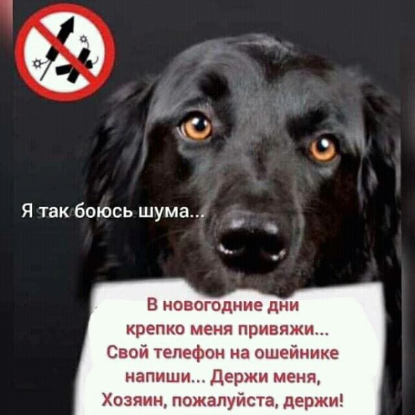 http://forumupload.ru/uploads/0012/6e/7d/834/72260.jpg