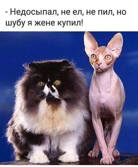 http://forumupload.ru/uploads/0012/6e/7d/834/91624.jpg