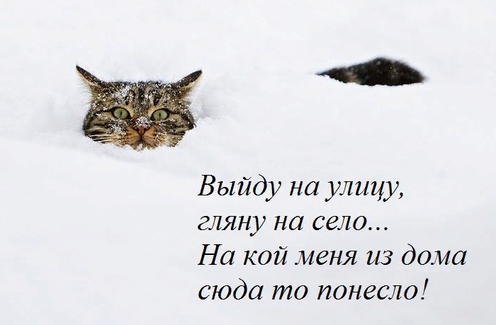http://forumupload.ru/uploads/0012/6e/7d/834/93589.jpg
