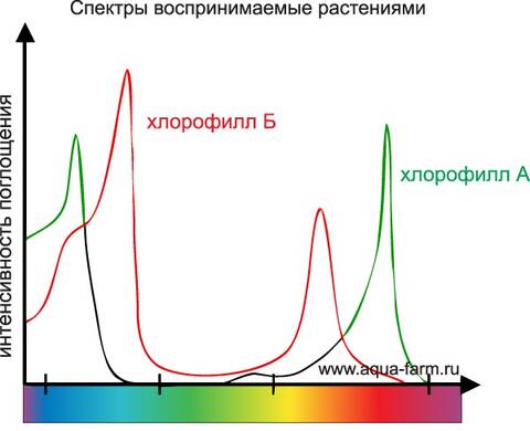 http://forumupload.ru/uploads/0012/d6/0d/5/t939124.jpg