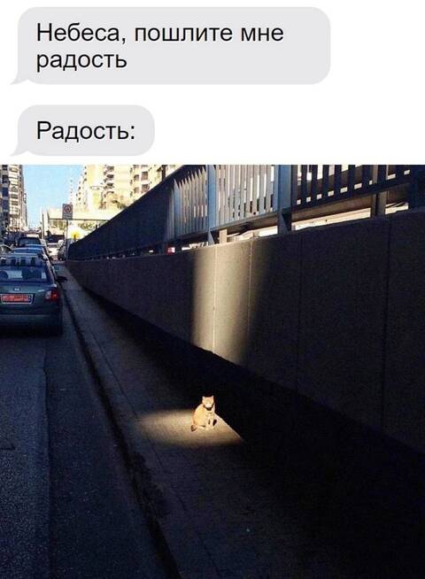 http://forumupload.ru/uploads/0013/1f/fe/105/t298651.jpg