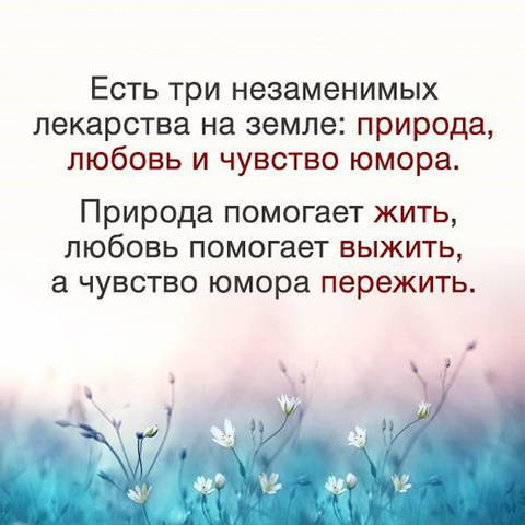 http://forumupload.ru/uploads/0013/1f/fe/411/t829289.jpg