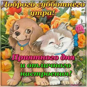 http://forumupload.ru/uploads/0013/1f/fe/411/t938403.jpg