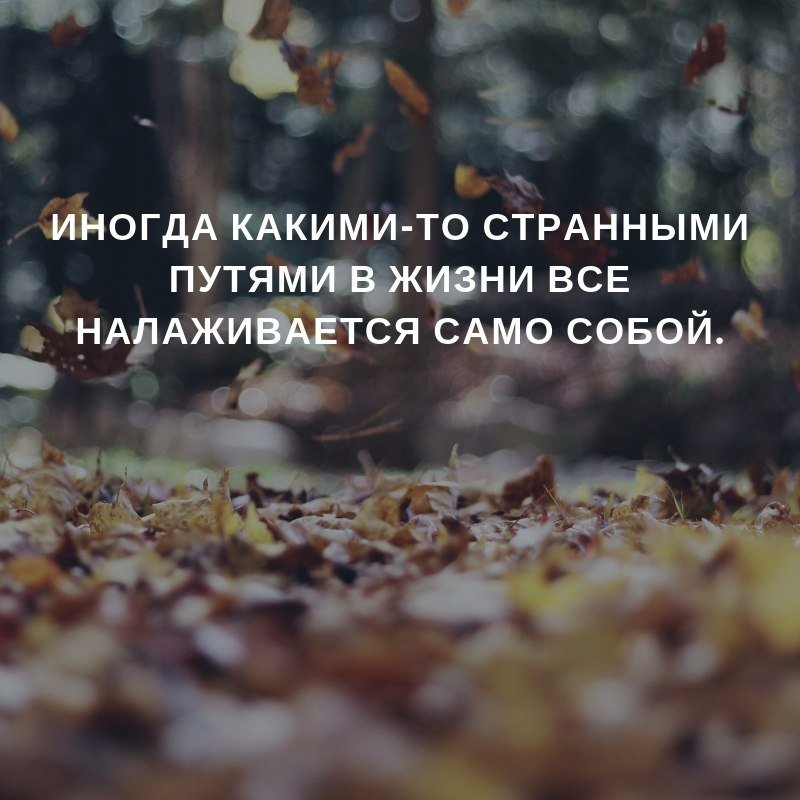 http://forumupload.ru/uploads/0013/8b/ae/260/436085.jpg