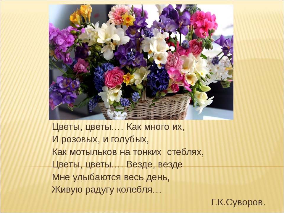 http://forumupload.ru/uploads/0013/8b/ae/260/468327.jpg