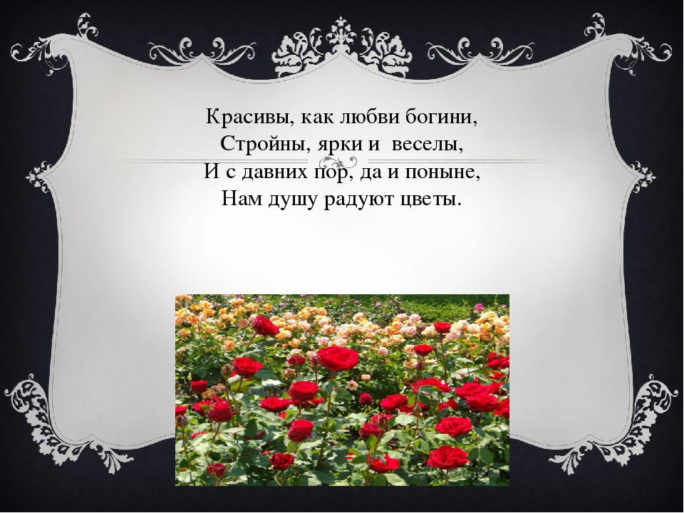 http://forumupload.ru/uploads/0013/8b/ae/260/61051.jpg