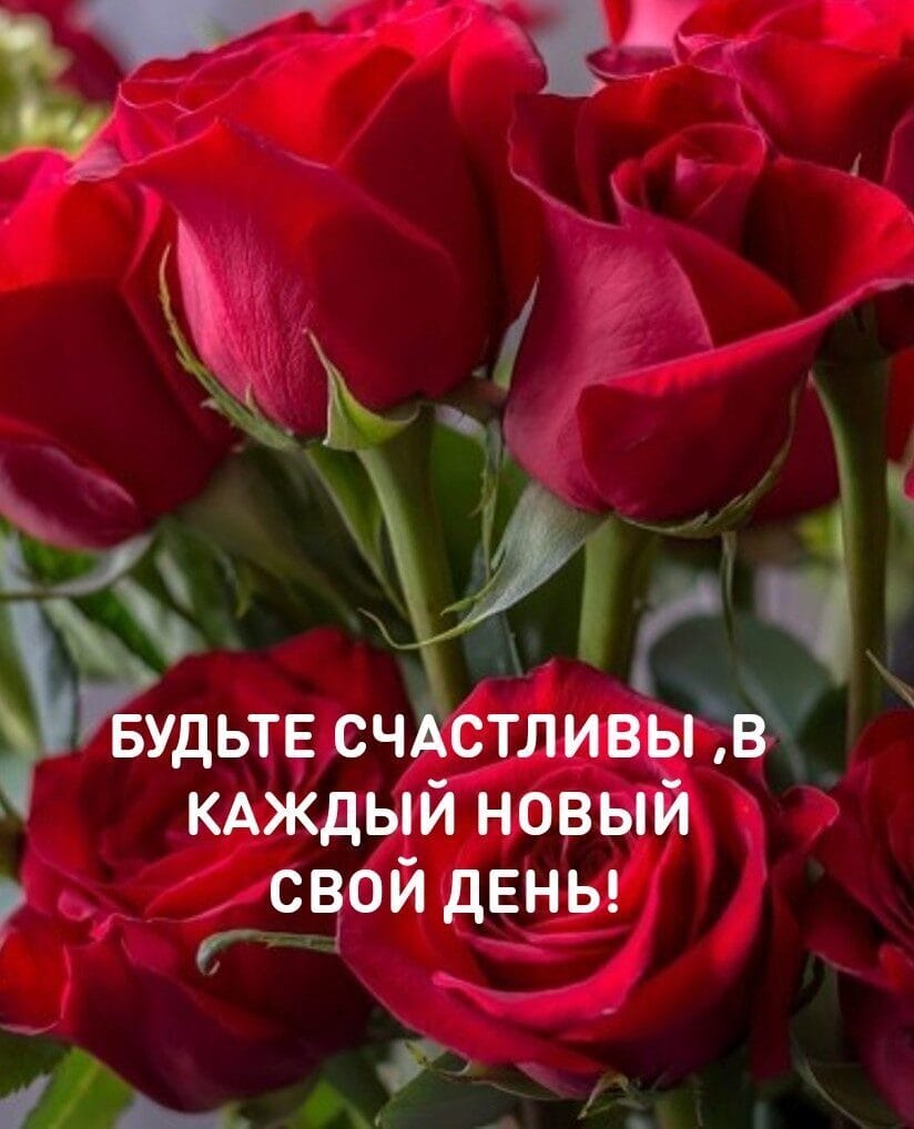 http://forumupload.ru/uploads/0013/8b/ae/260/629526.jpg