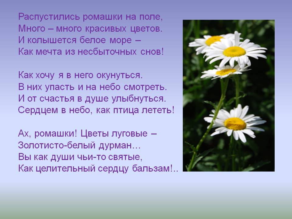 http://forumupload.ru/uploads/0013/8b/ae/260/864971.jpg
