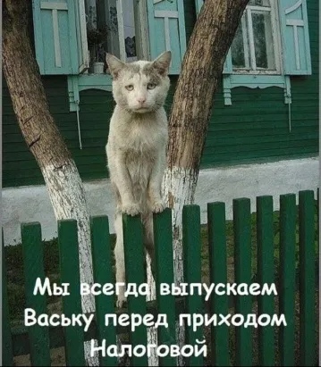 http://forumupload.ru/uploads/0013/dd/4c/20/t151716.jpg