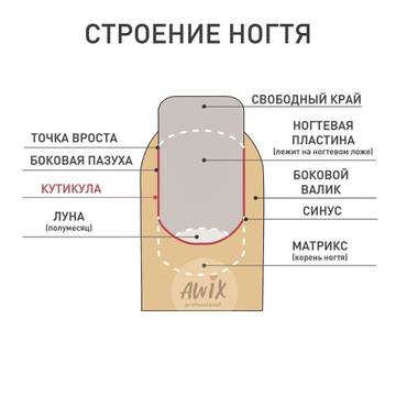 http://forumupload.ru/uploads/0014/3b/b9/2/t408534.jpg