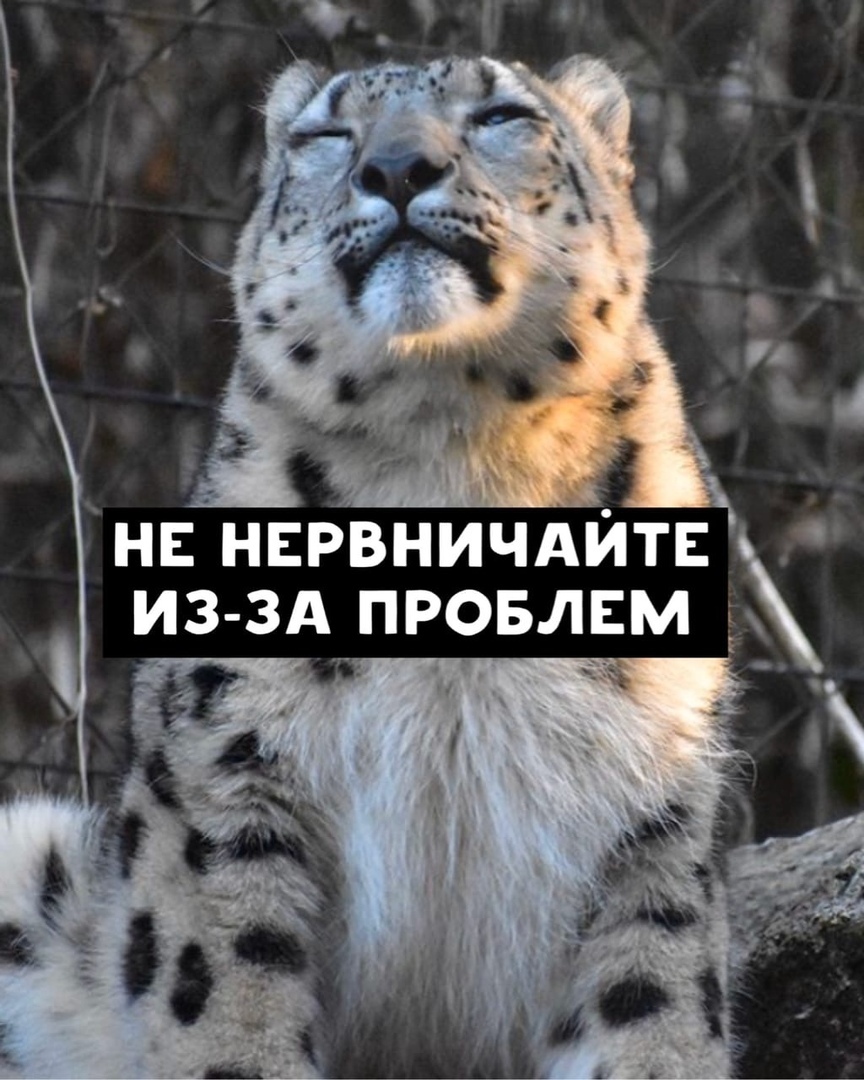 http://forumupload.ru/uploads/0014/ea/21/82/29597.jpg